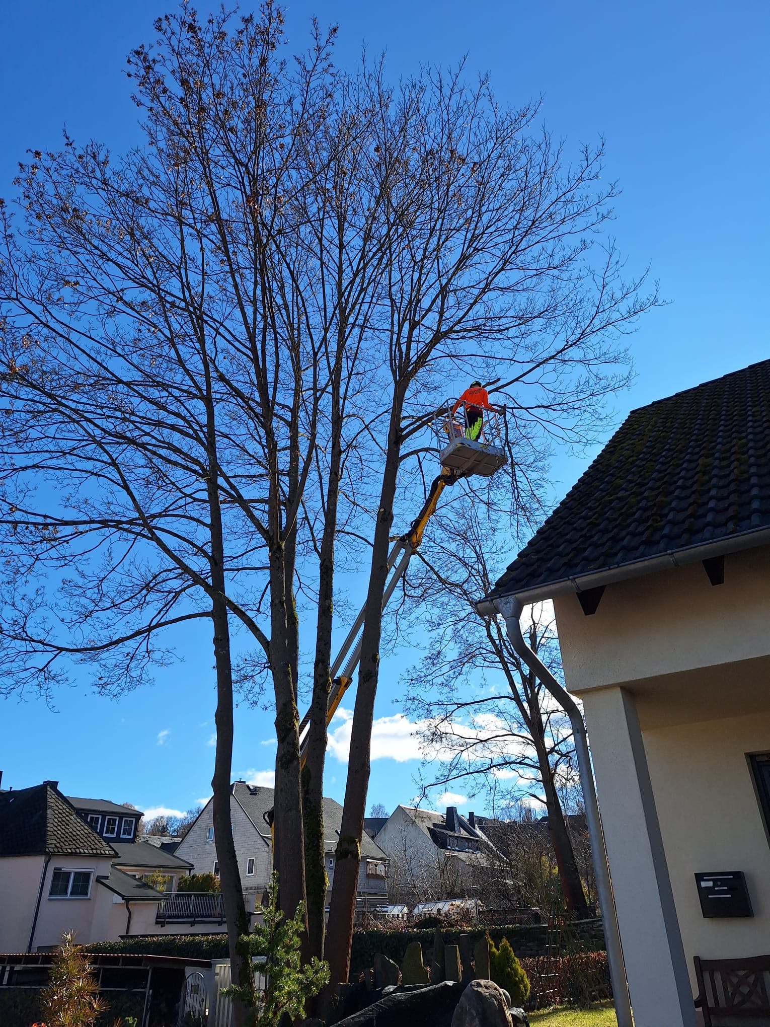 Forstservice MeinHolz im Einsatz